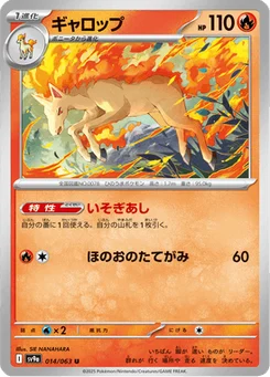 Galopa 14/63 Heat Wave Arena