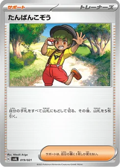 Gamin 19/21 ex Starter Set Fuecoco & Ampharos ex
