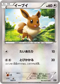 Évoli 100/314 Best of XY