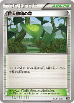 巨大植物の森 154/314 Best of XY