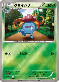 Ortide 2/314 Best of XY