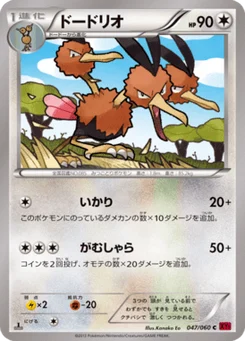 Dodrio 47/60 Collection Y