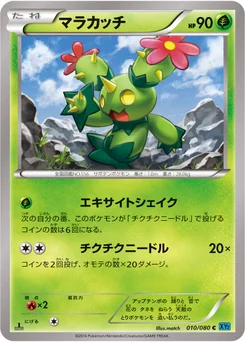 Maracachi 10/79 Wild Blaze