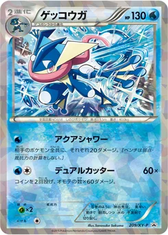 Amphinobi 209/448 XY Promotional Cards