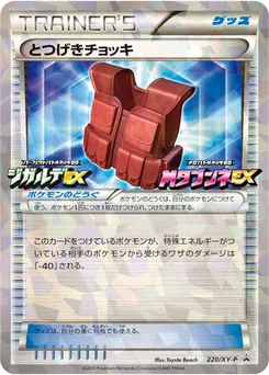 Veste de Combat 220/448 XY Promotional Cards