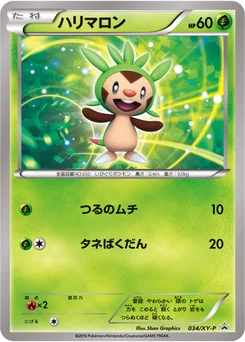 Marisson 34/448 XY Promotional Cards