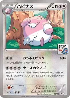 Leuphorie 87/448 XY Promotional Cards
