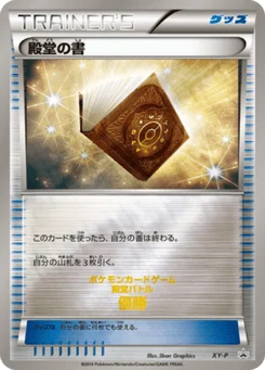 Palace Book NAN83 XY Promotional Cards