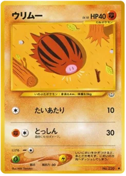 Marcacrin 038/057 Awakening Legends · Neo Revelation (めざめる伝説)