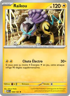 Raikou 048/132 Méga-Évolution