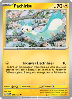 Pachirisu 051/132 Méga-Évolution