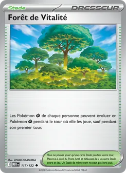 Forêt de Vitalité 117/132 Méga-Évolution