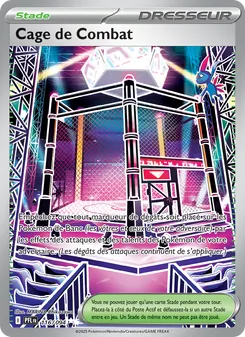 Cage de Combat 116/094 Flammes Fantasmagoriques