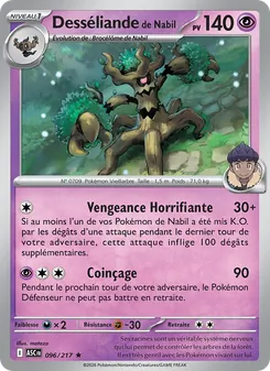 Desséliande de Nabil 096/217 Héros Transcendants