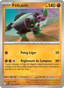 Félicanis 122/217 Héros Transcendants