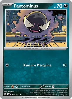Fantominus 123/217 Héros Transcendants