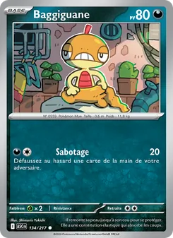Baggiguane 134/217 Héros Transcendants