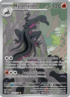 Malamandre 224/217 Héros Transcendants