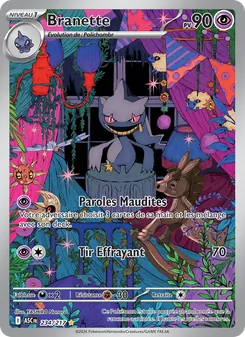 Branette 234/217 Héros Transcendants