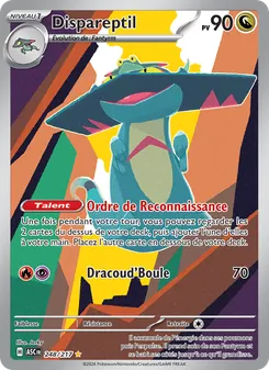 Dispareptil 248/217 Héros Transcendants