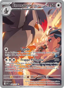 Étouraptor d'Okuba 249/217 Héros Transcendants