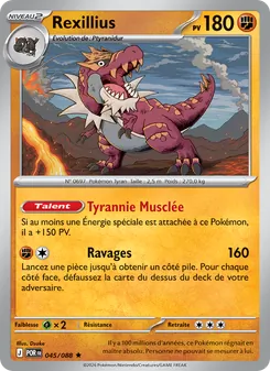 Rexillius 045/088 Équilibre Parfait