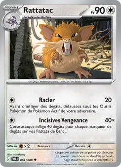 Rattatac 061/088 Équilibre Parfait