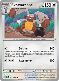 Excavarenne 065/088 Équilibre Parfait