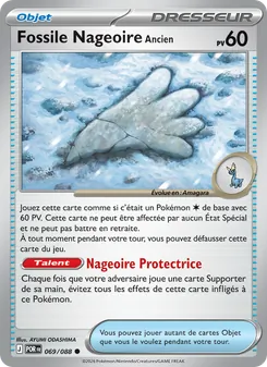 Fossile Nageoire Ancien 069/088 Équilibre Parfait
