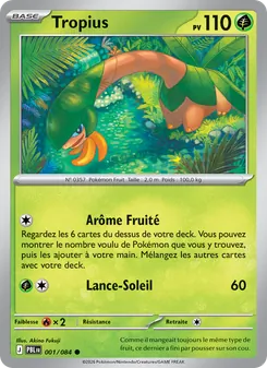 Tropius 001/084 Nuit Noire