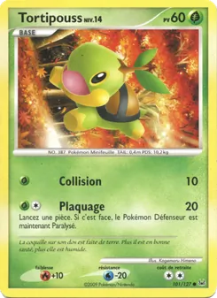 Tortipouss 101/127 Platine