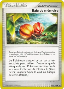 Baie de mémoire 110/127 Platine