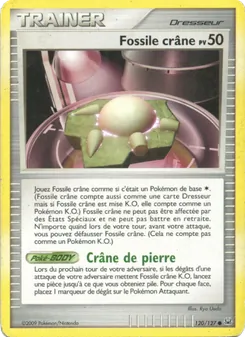 Fossile Crâne 120/127 Platine