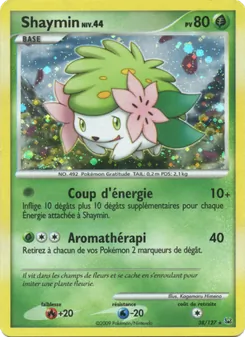 Shaymin 38/127 Platine