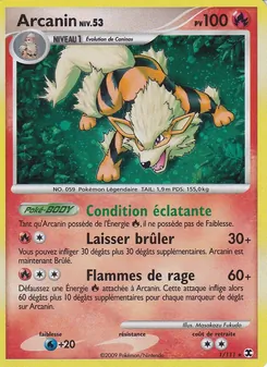 Arcanin Niv. 53 1/111 Rivaux Émergeants