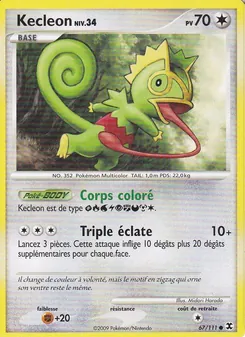 Kecleon Niv. 34 67/111 Rivaux Émergeants
