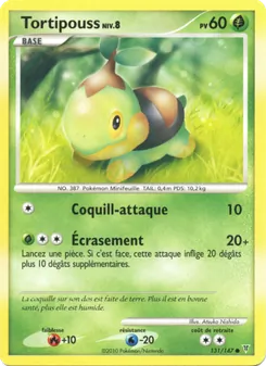 Tortipouss 131/147 Vainqueurs Suprêmes