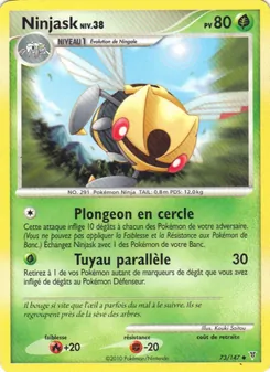 Ninjask 73/147 Vainqueurs Suprêmes