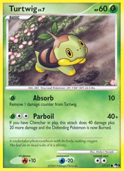 Tortipouss 17/17 POP Série 9