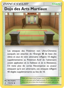 Dojo des Arts Martiaux 179/214 Alliance Infaillible