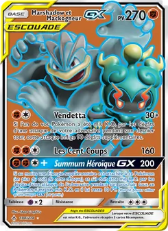 Marshadow et Mackogneur GX 198/214 Alliance Infaillible