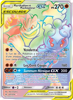 Marshadow et Mackogneur GX 221/214 Alliance Infaillible