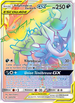 Amphinobi et Zoroark GX 222/214 Alliance Infaillible