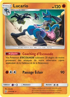 Lucario 117/236 Harmonie des Esprits