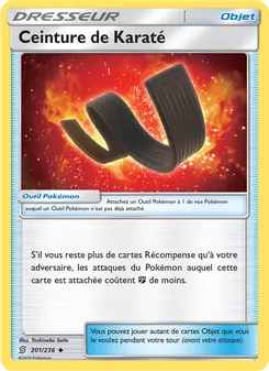 Ceinture de Karaté 201/236 Harmonie des Esprits