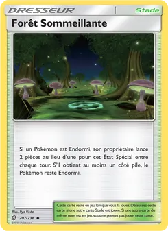 Forêt Sommeillante 207/236 Harmonie des Esprits