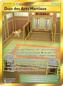Dojo des Arts Martiaux 268/236 Éclipse Cosmique