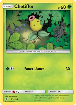 Chétiflor 1/145 Gardiens Ascendants