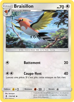 Braisillon 110/145 Gardiens Ascendants