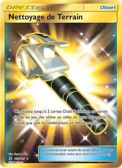 Nettoyage de Terrain 163/145 Gardiens Ascendants